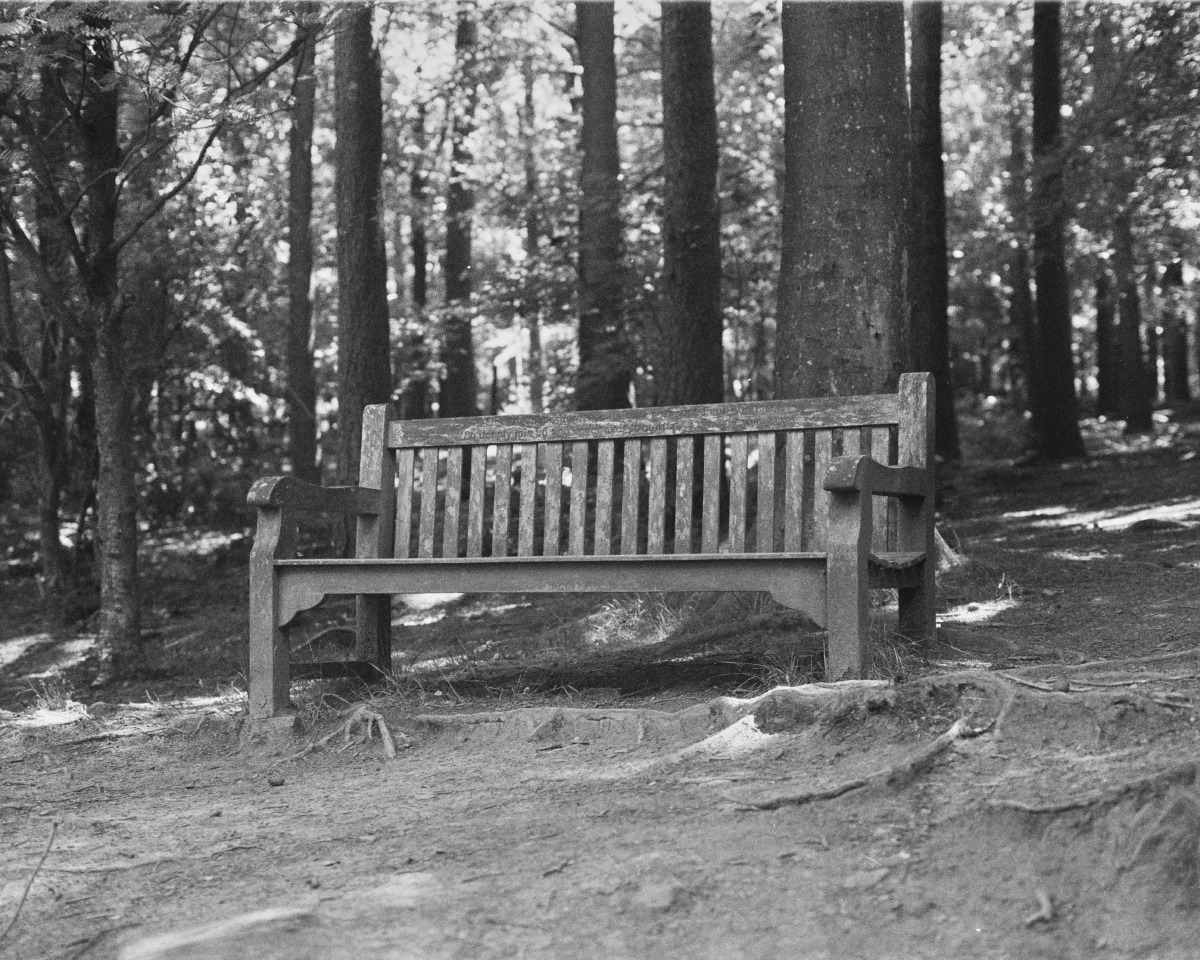 Otley Chevin, Olympus OM1 - Zuiko 50mm f1.2, Ilford HP5