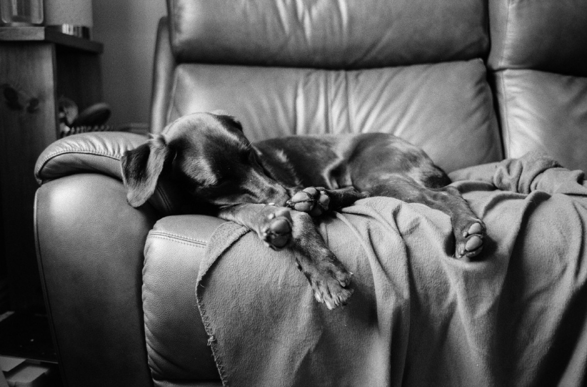 Home, Leica M6 - Voigtlander Ultron 35mm f2, Ilford HP5+
