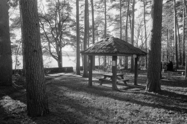 Swinsty Resevoir, Ricoh GR1s, Kentmere 400