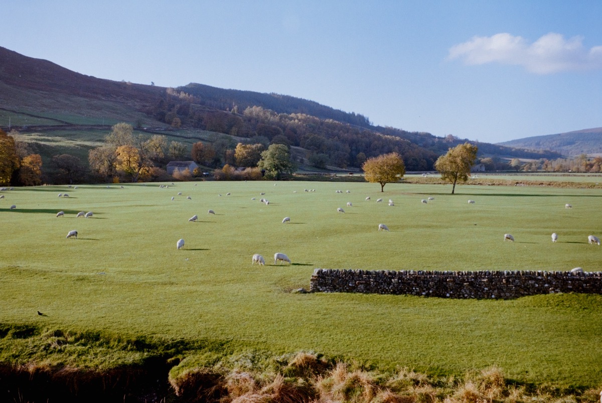 Grassington, Leica M6 - Voigtlander Ultron 35mm f2, Kodak Gold 200 