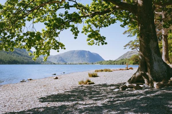 Lake Buttermere - Lake District, Leica M6 - Voigtlander Ultron 35mm f2, Kodak Gold 200